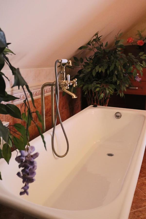Grand Panorama Bed & Breakfast Wisniowa  Dış mekan fotoğraf